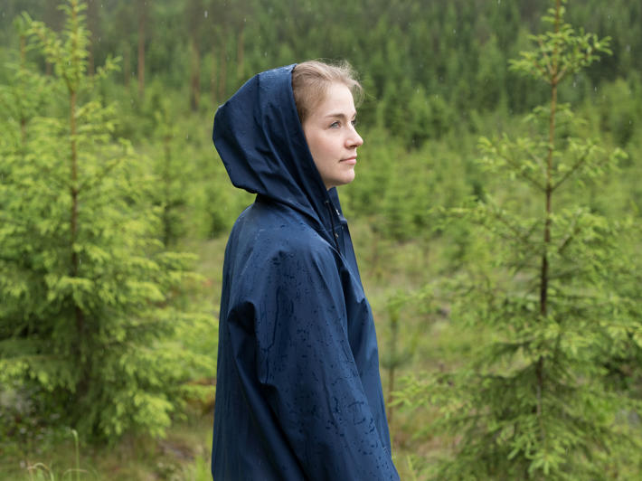 A forest owner looking at spruce seedlings in the rain.