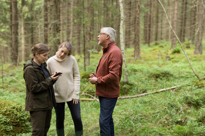 Metsäasiantuntija ja kaksi metsänomistajaa tutkivat metsässä Metsäverkko-mobiilia.