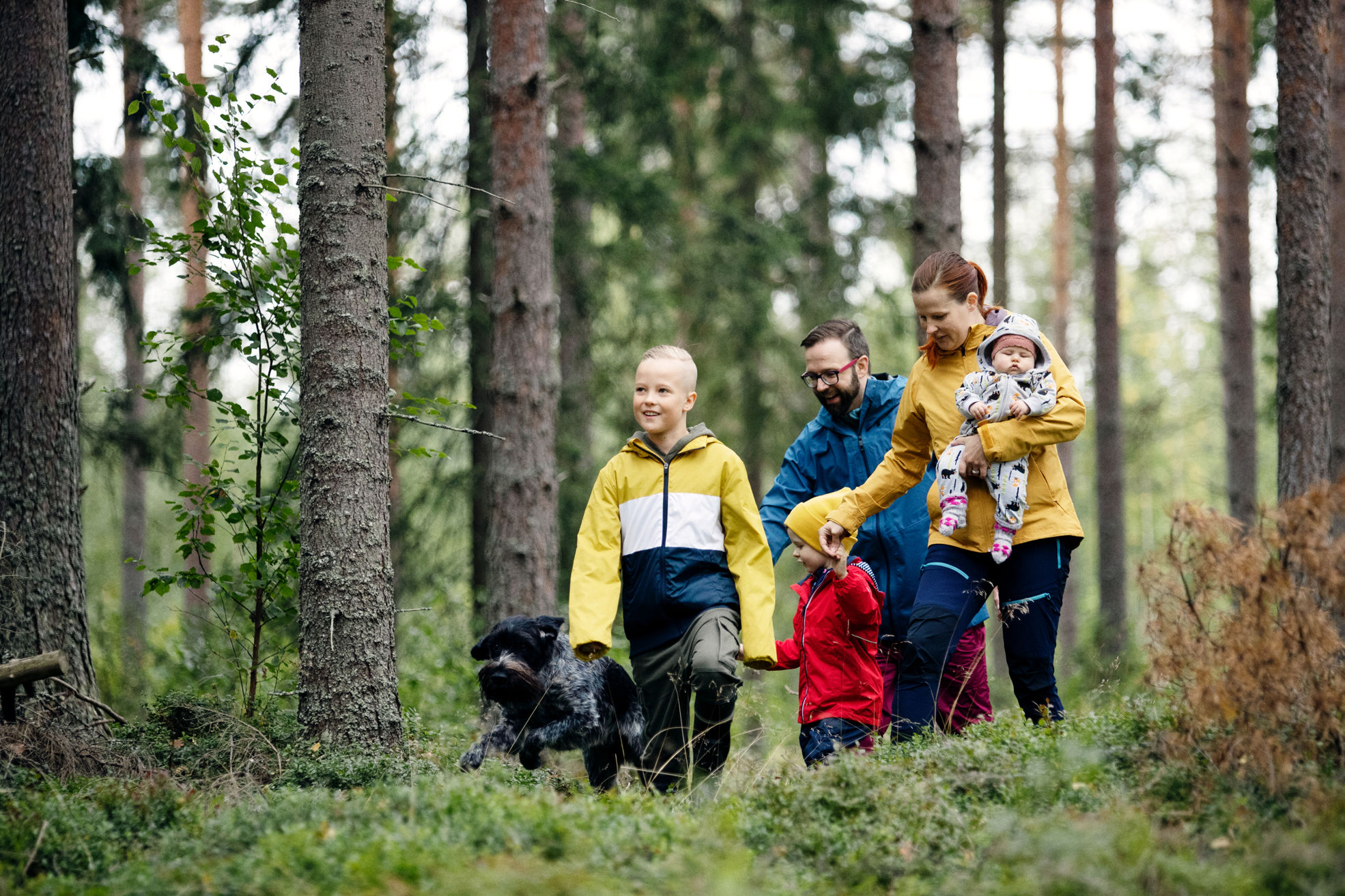 Metsänomistajat edistävät suomalaisen metsäluonnon monimuotoisuuden säilymistä monin tavoin.