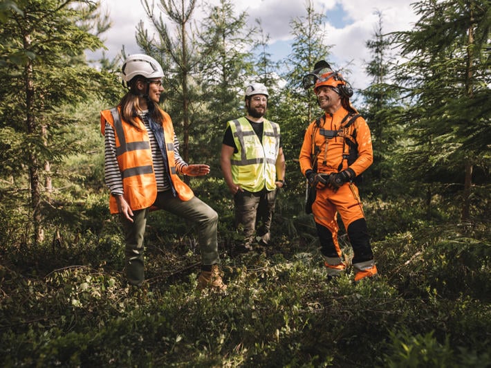 Skogsägare, skogsexpert och skogshuggare bekantar sig med arbetsspåret efter plantskogsgallring.