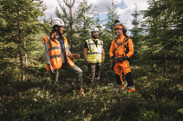 Skogsägare, skogsexpert och skogshuggare bekantar sig med arbetsspåret efter plantskogsgallring.