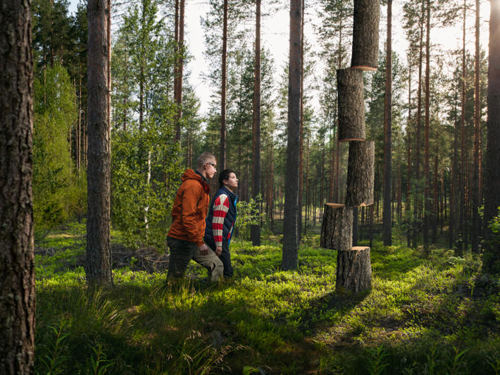Järeysrunkohinnassa poistettavien puiden järeys vaikuttaa rungosta maksettavaan hintaan.  