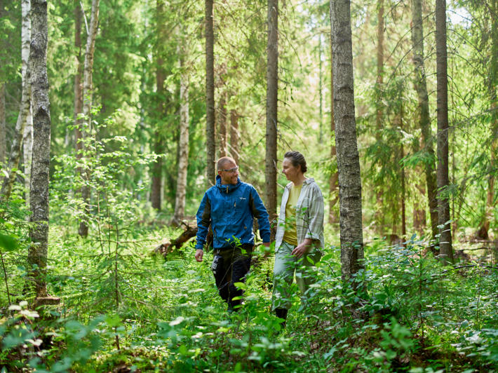Metsäasiantuntija ja metsänomistaja kävelevät lehdossa.