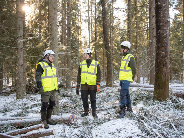 Metsänomistaja Jyrki Viukarin (vas.) lehdossa tehtiin luonnonhoidollinen hakkuu maaliskuussa.