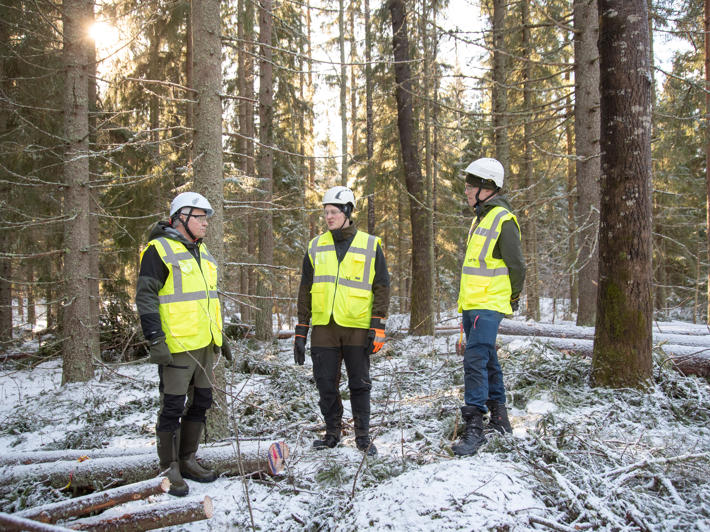 I skogsägare Jyrki Viukaris (till vänster) lund utfördes en naturvårdande avverkning i mars.