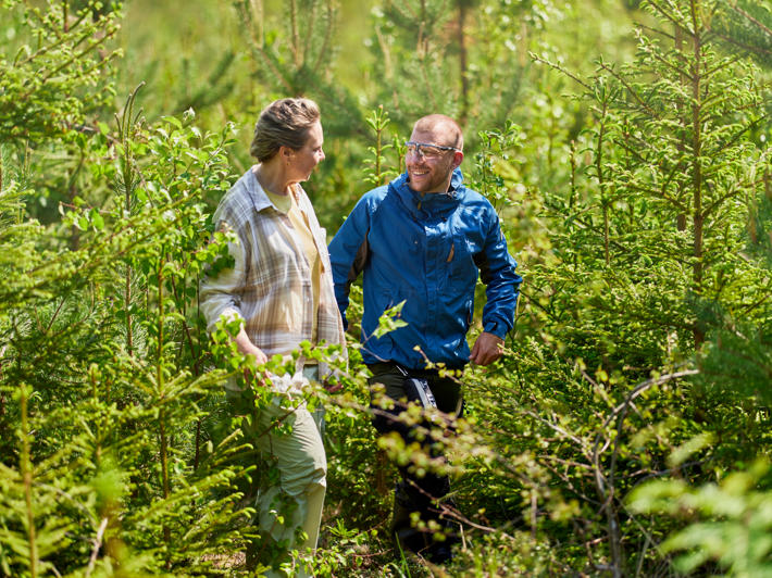 A forest owner and a forest specialist in a mixed cultivation seedling stand.