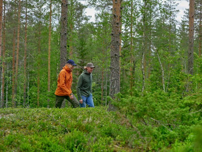 Metsä Groupin metsäasiantuntijat osaavat neuvoa sinua kaikissa puukauppaan liittyvissä asioissa. 