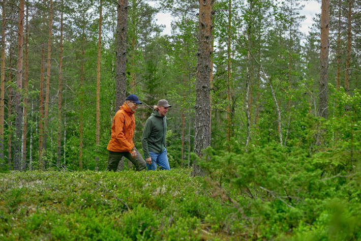 Metsä Group’s forest specialists can advise you in all wood trade matters.