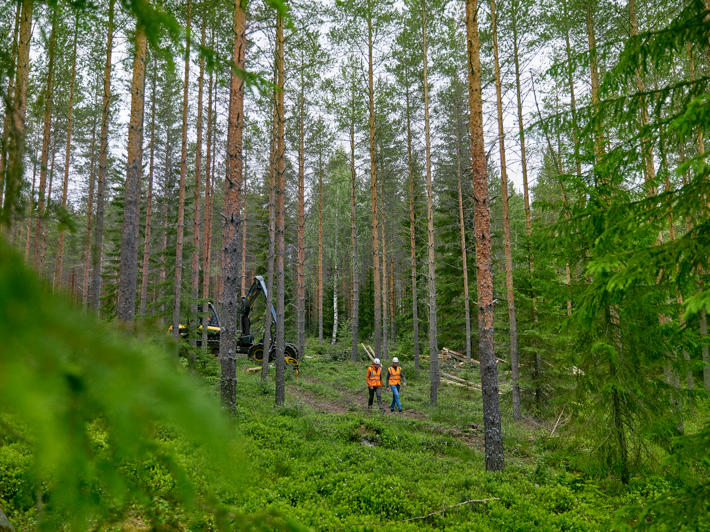 En skogsexpert och skogsägare i skogen.