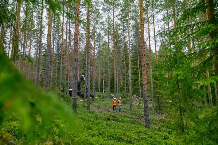 Metsäasiantuntija ja metsänomistaja metsässä.