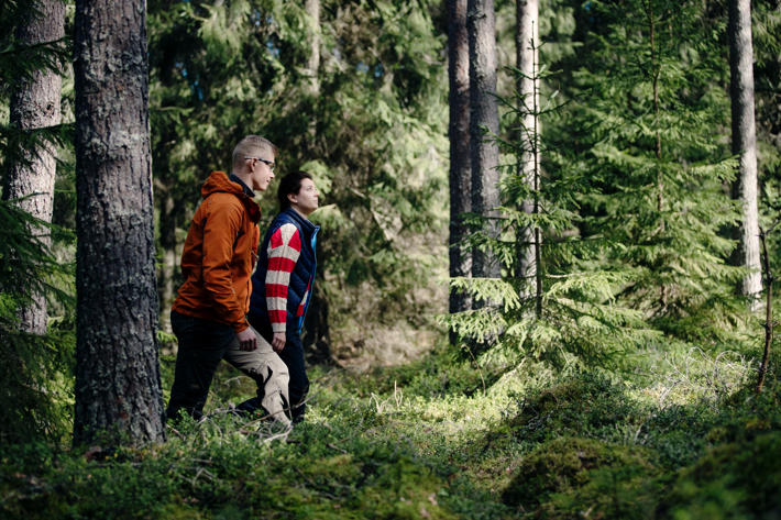 Metsäasiantuntija ja metsänomistaja ovat kävelemässä kesäisessä metsässä.