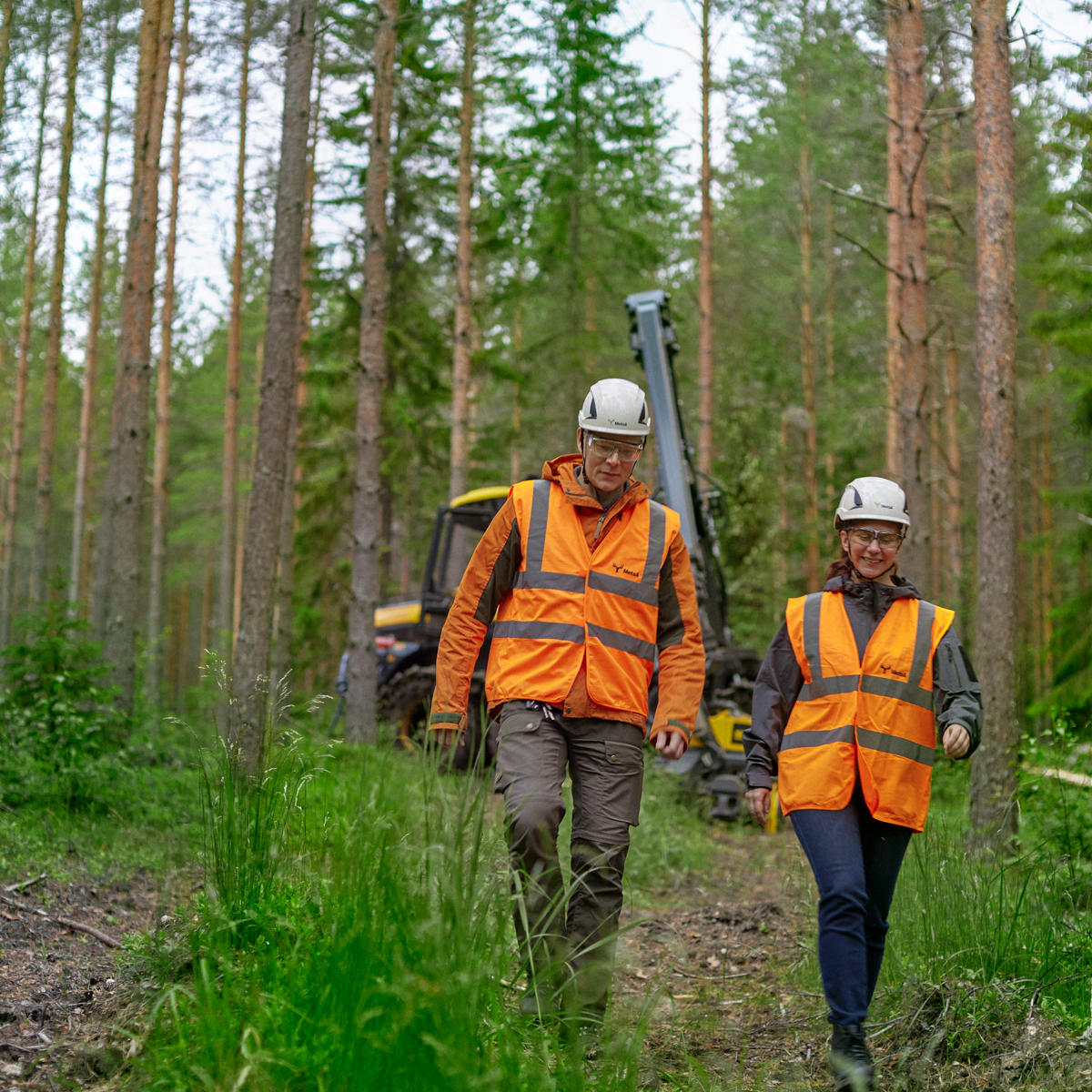 Skogsexpert och skogsägare går på avverkningsobjekt.