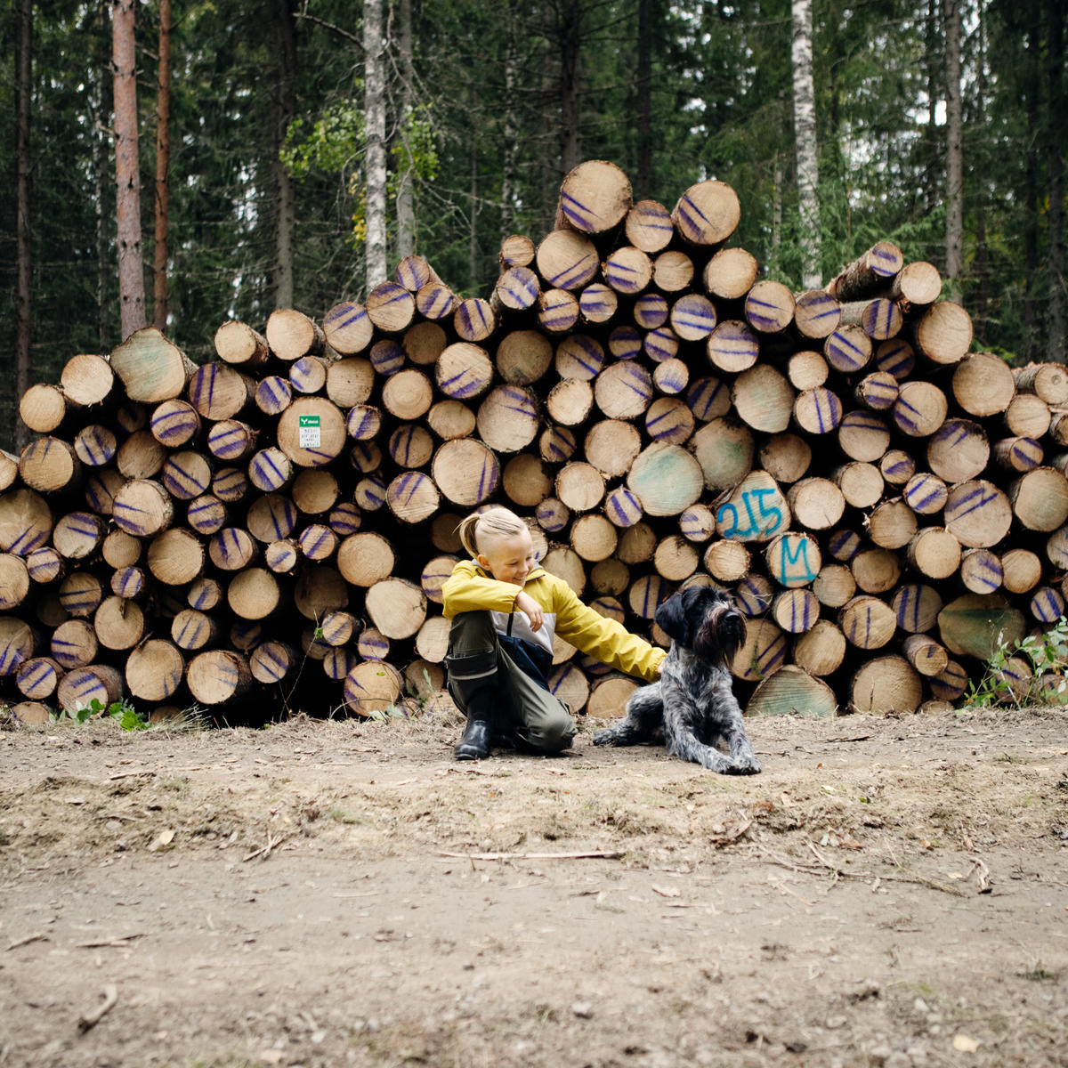 Metsä1-tilläggsandelar och virkeshandelsbaserad vinstutdelning