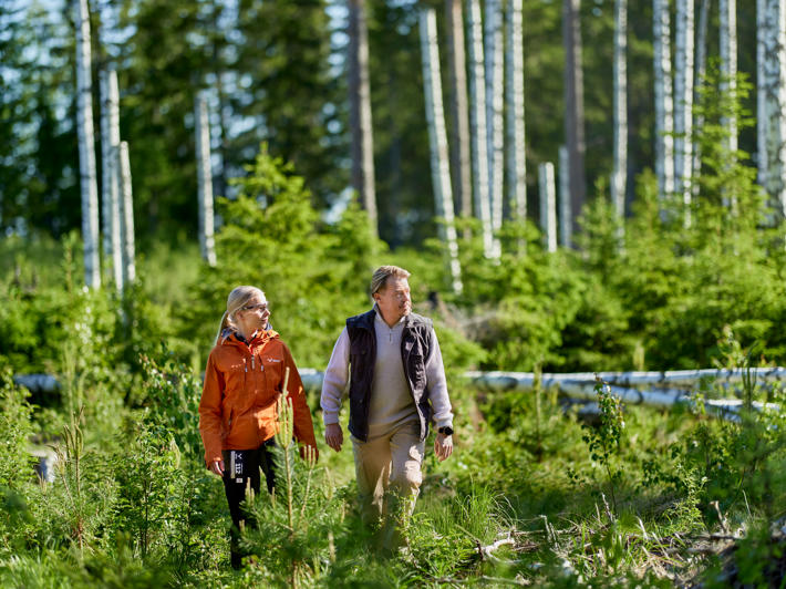 Metsäasiantuntija ja metsänomistaja metsässä, suojatiheikkö taustalla.