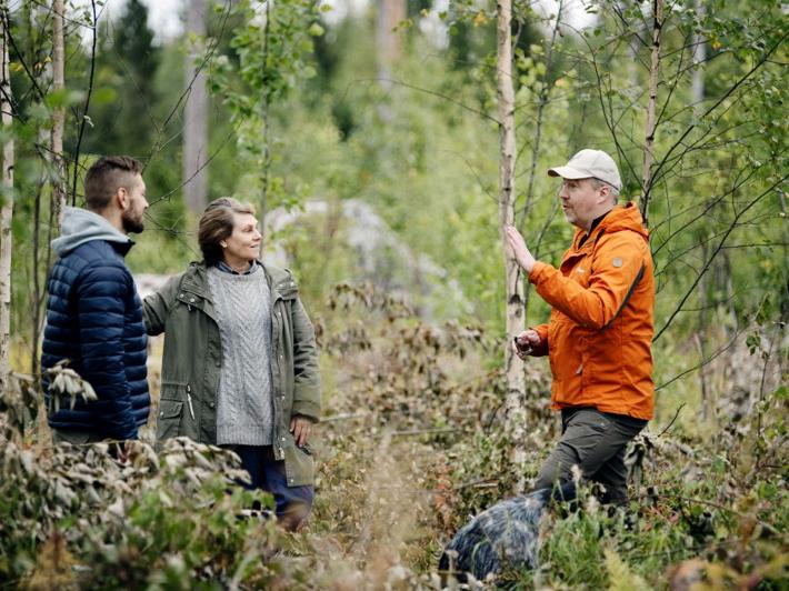 Metsäasiantuntija ja kaksi metsänomistajaa keskustelevat taimikossa.