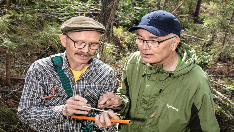 Metsänomistaja ja metsäasiantuntija tutkivat kasvukairalla otettua näytettä.