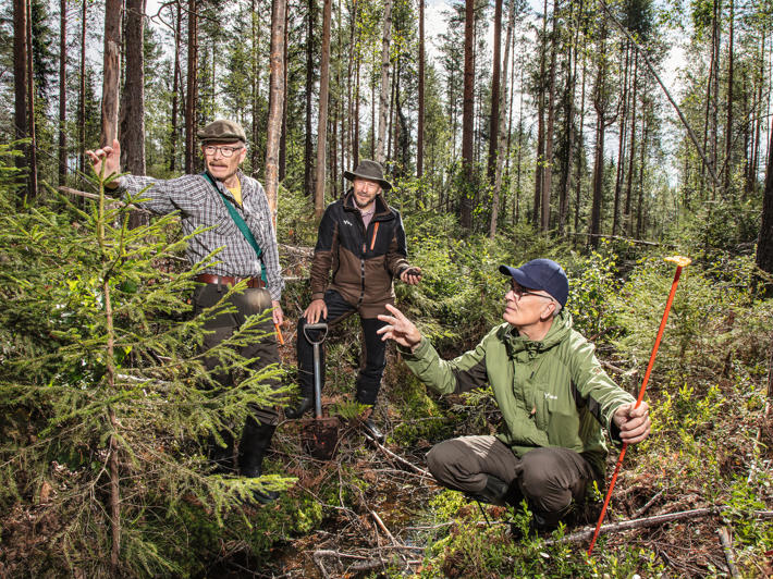 Metsänomistaja, metsäasiantuntija ja operaattori tutkivat tuhkalannoituksen tuloksia.