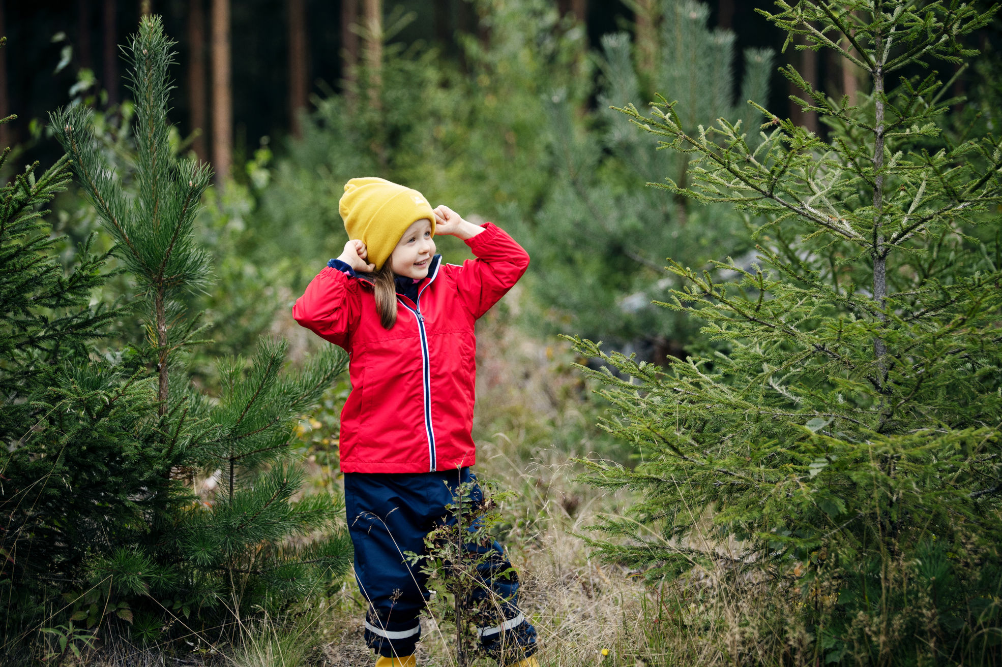 Bērns jaunaudzē, meža atjaunošana
