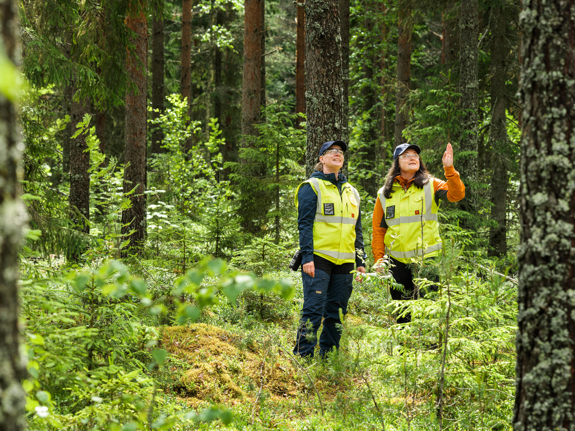 Kaksi metsäasiantuntijaa keskustelevat metsässä.