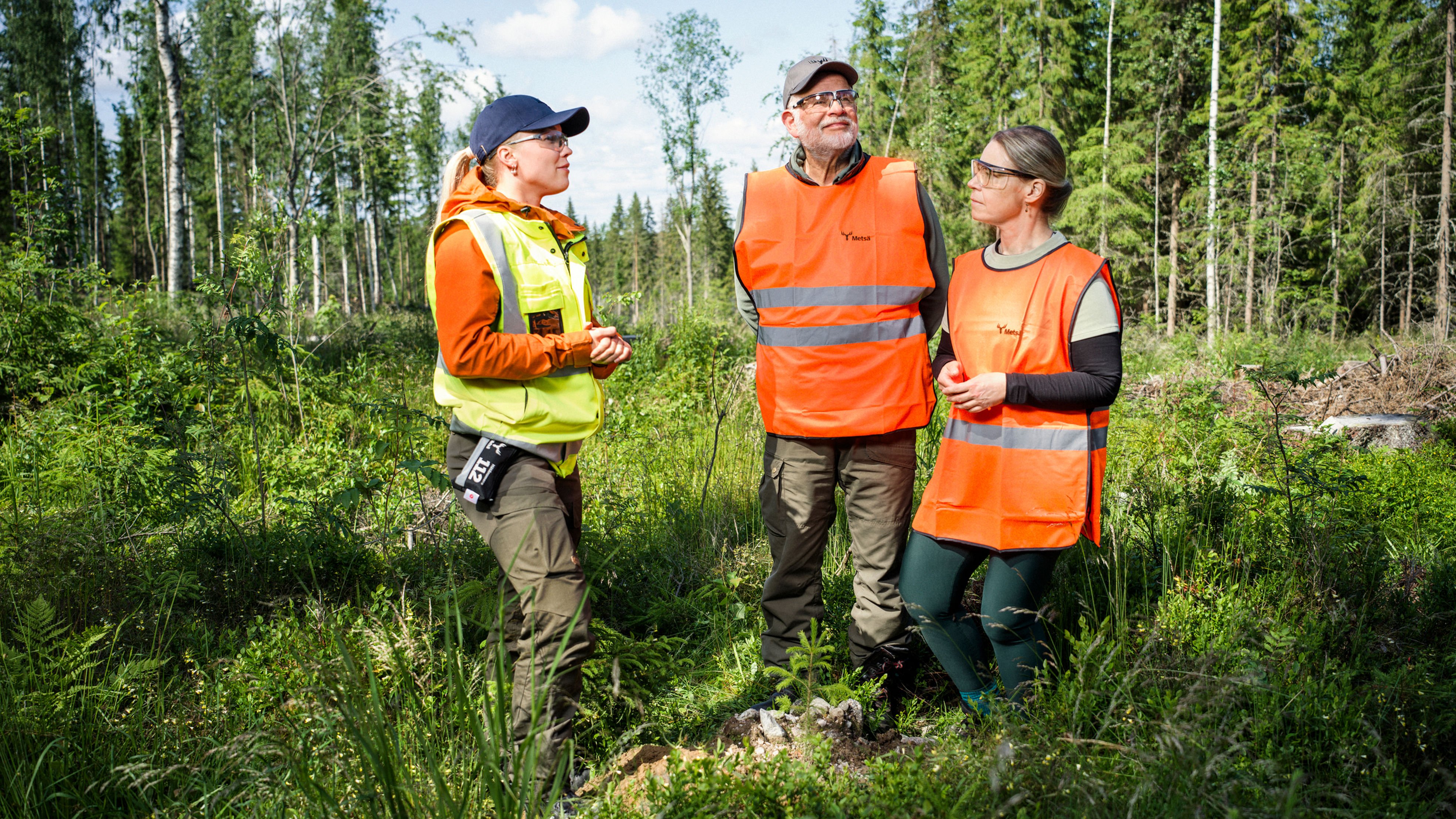 Metsäasiantuntija ja metsänomistaja
