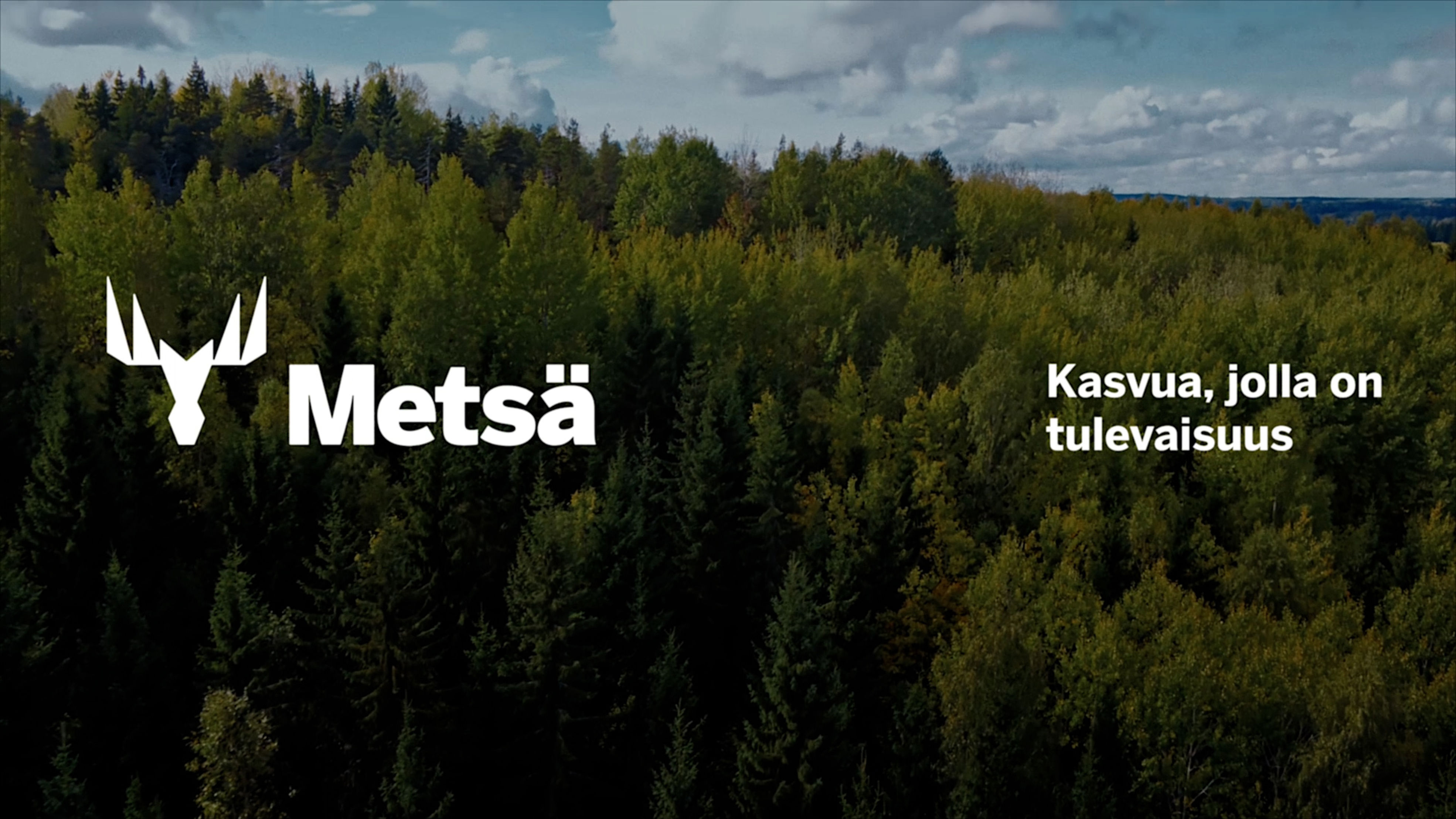 Metsän tarina