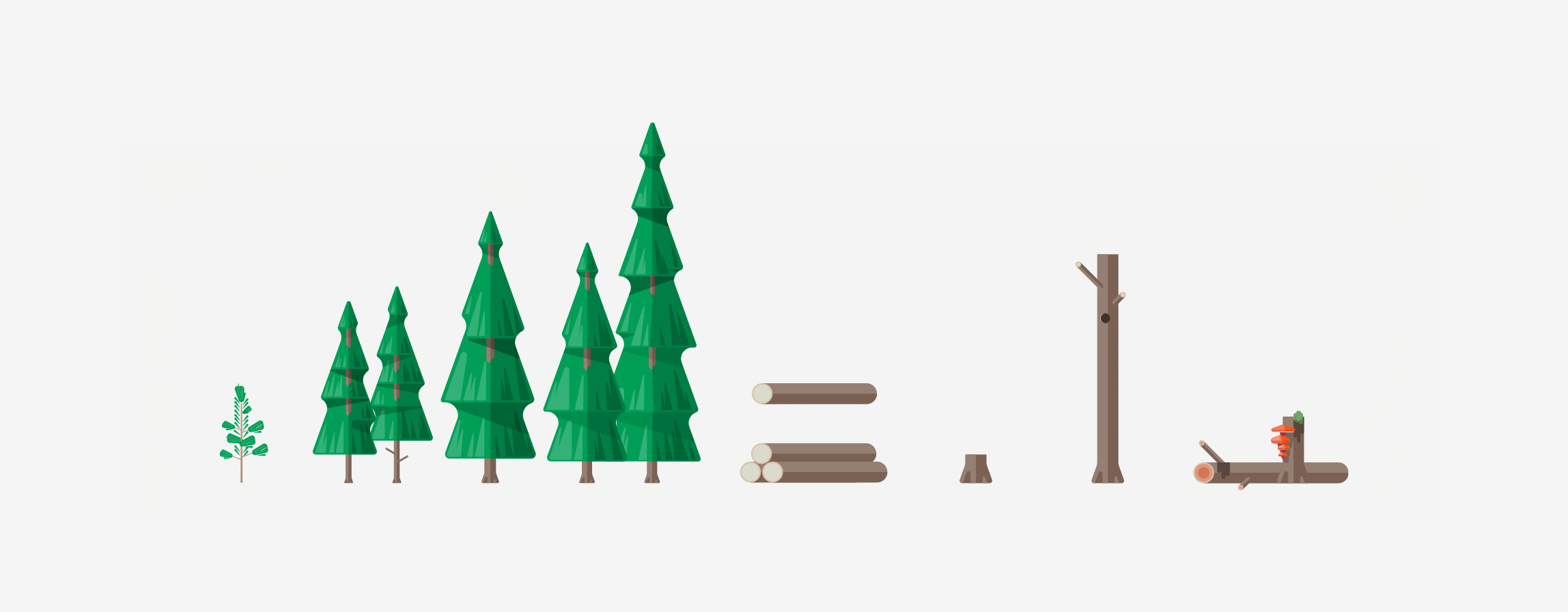 Illustrations