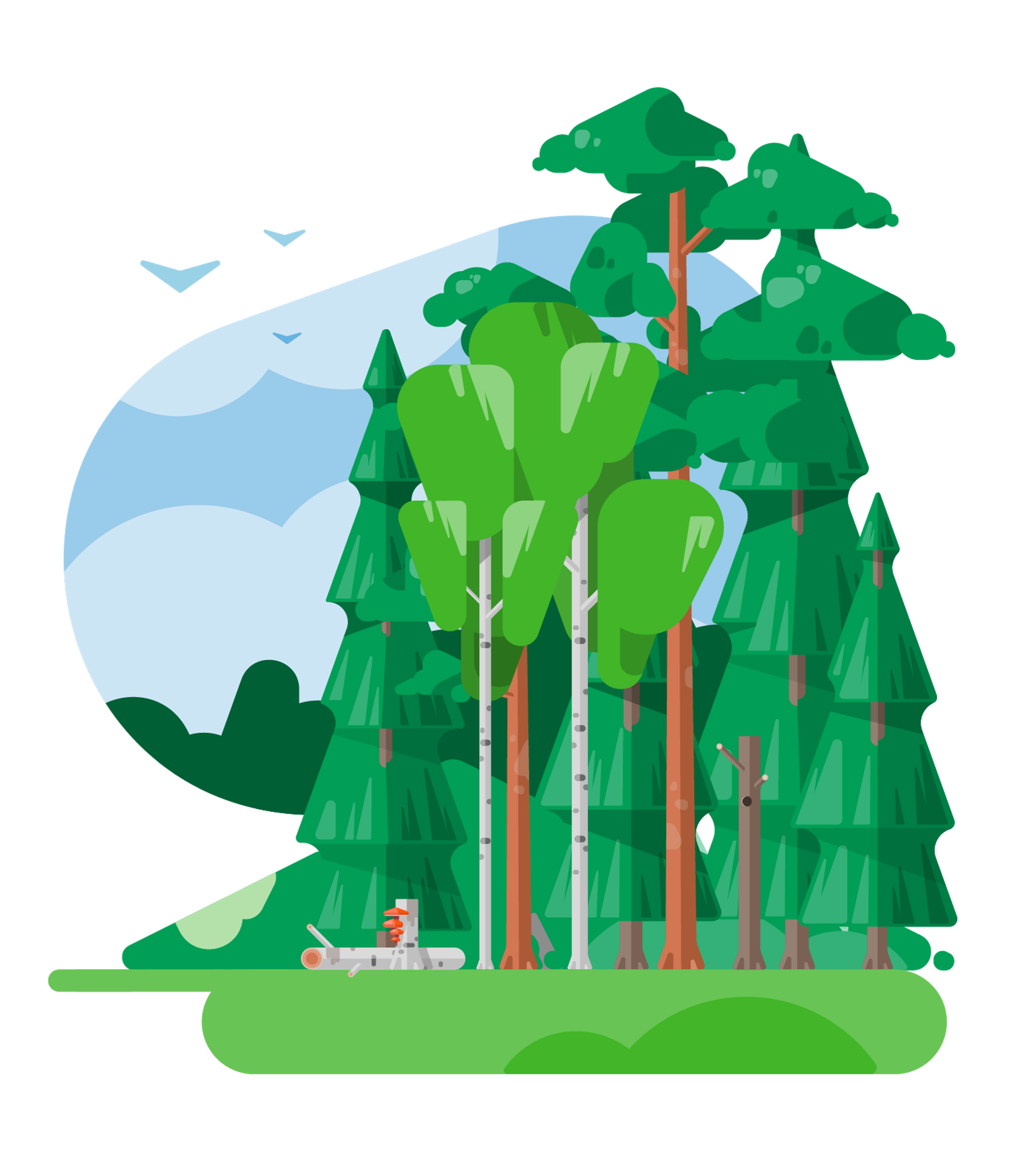 Summer forest