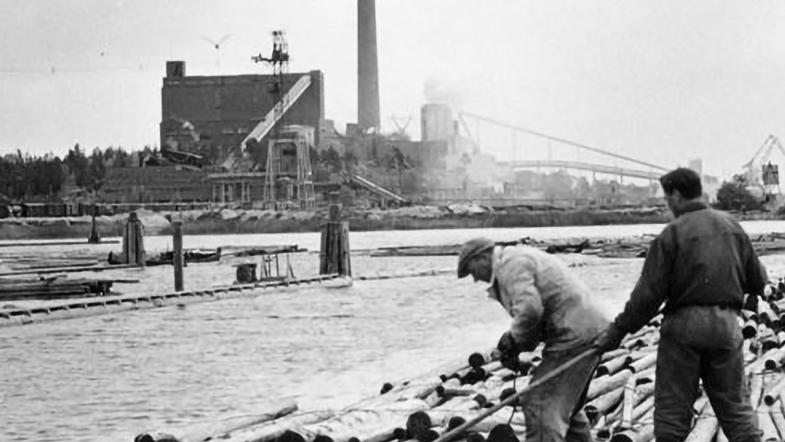 Metsä history