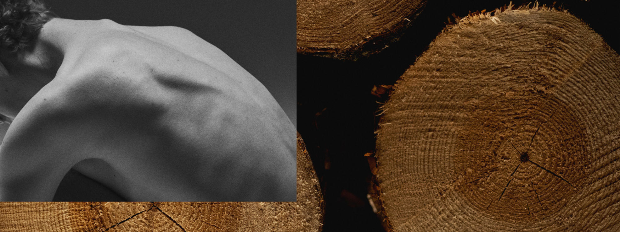 Tomorrow is made of sustainably grown wood