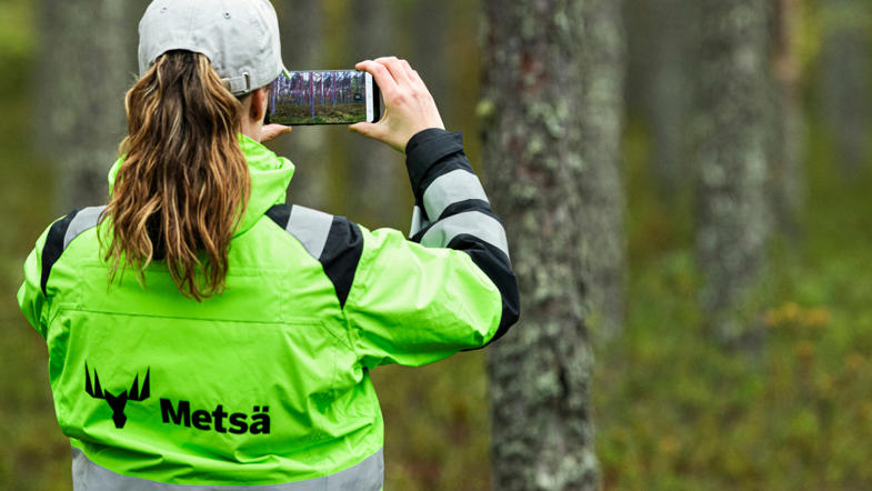 Forest services