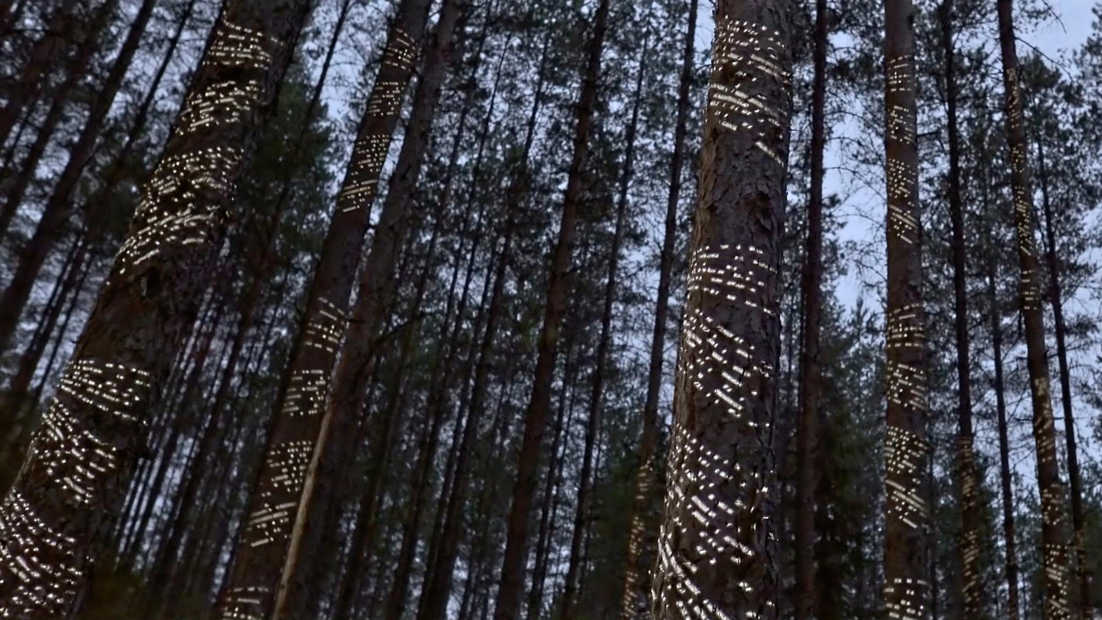 Älykäs metsä