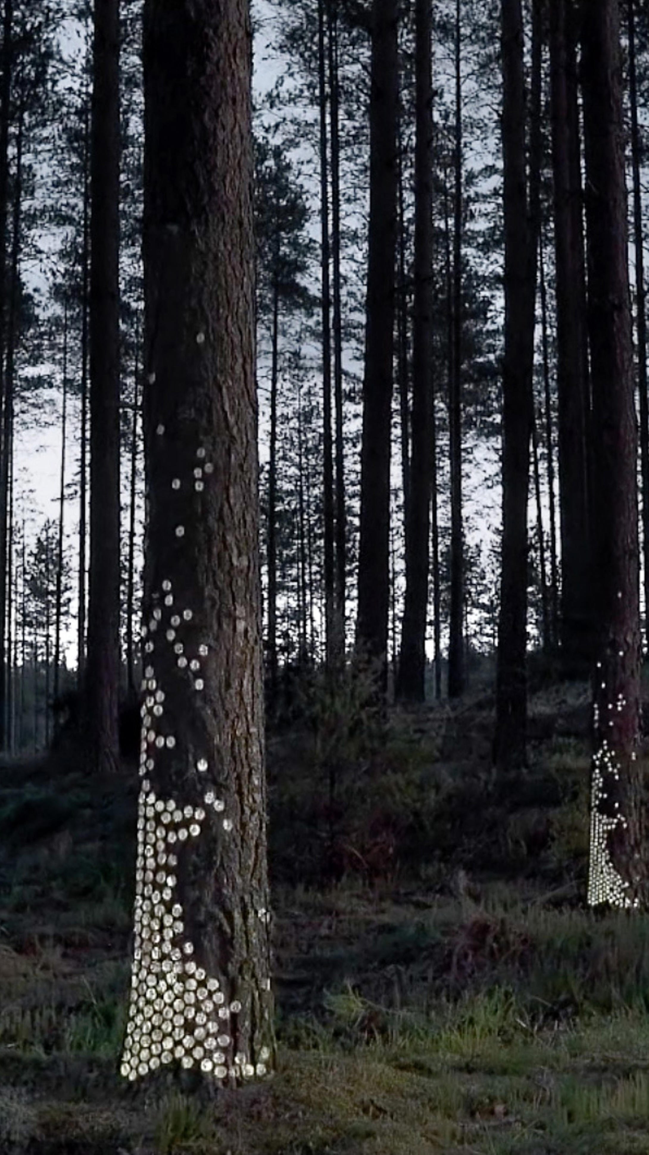 Älykäs metsä