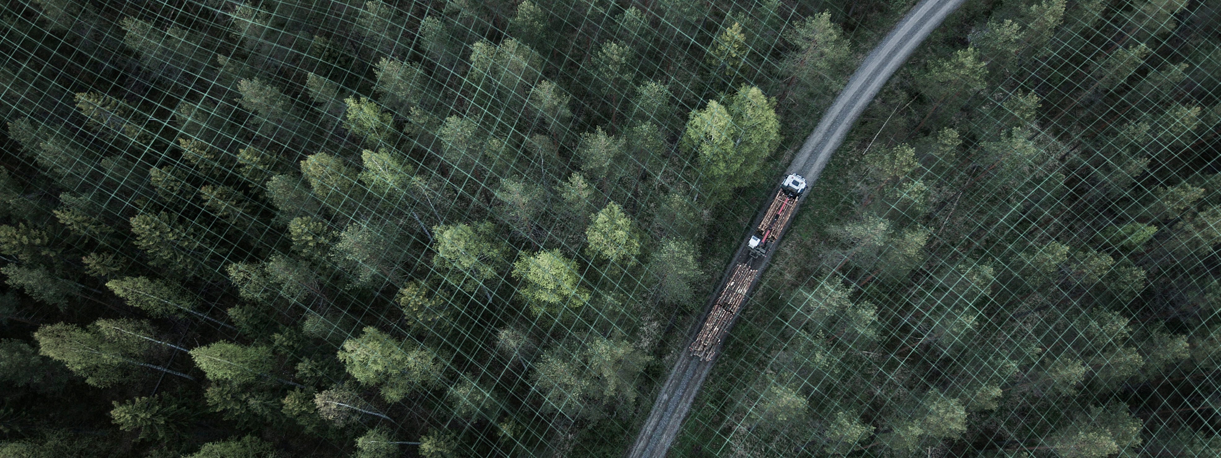 Wood supply goes digital