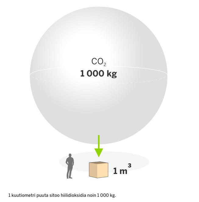 Kuutio puuta sitoo 1000 kg hiilidioksidia 