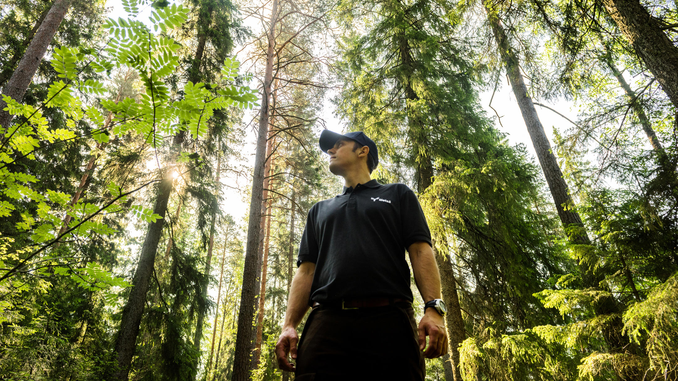 Forest expert