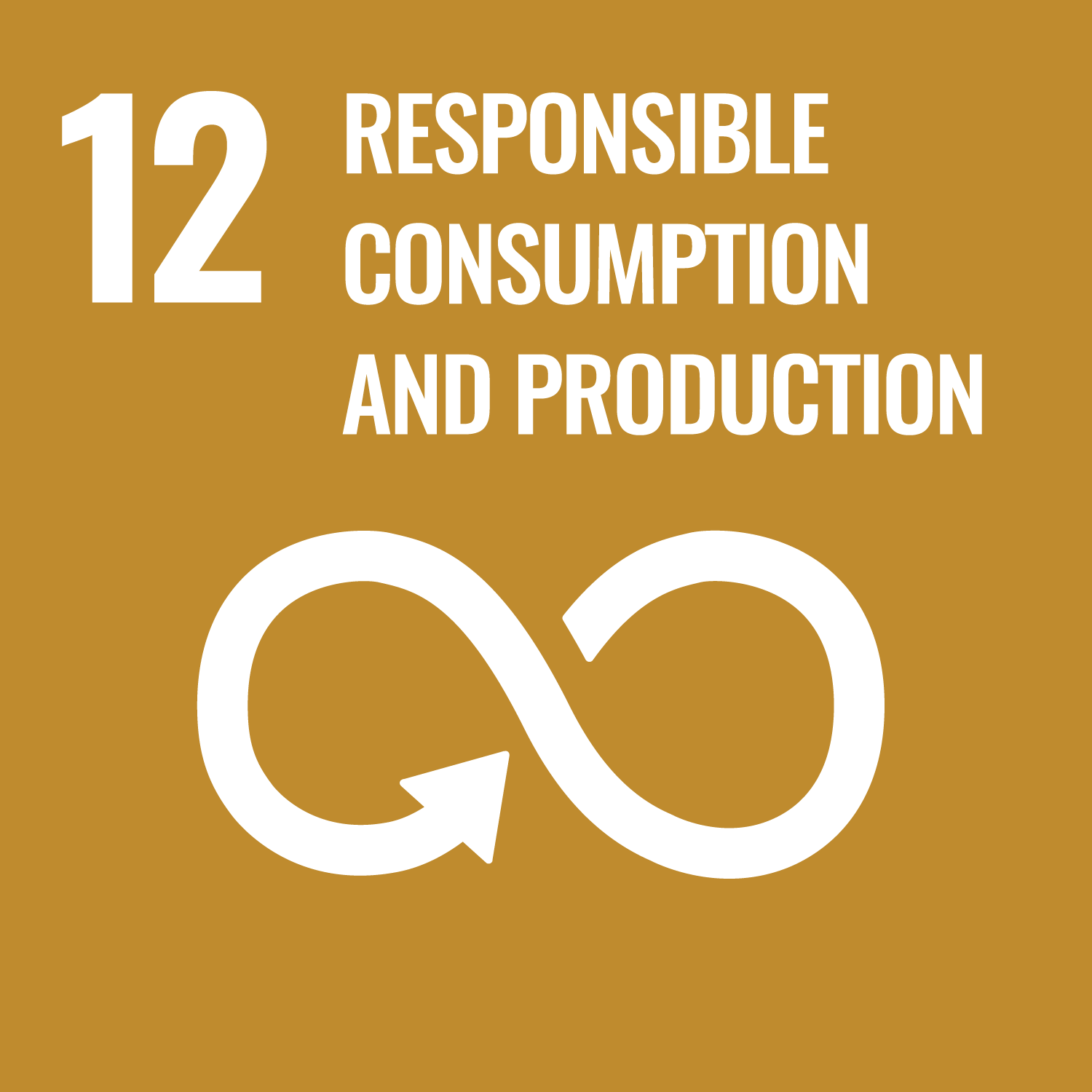 sdg-12-logo.png