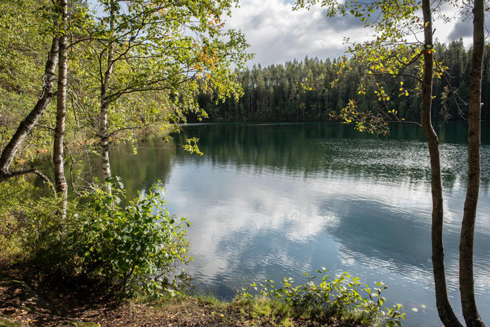 Lake view - nature programme