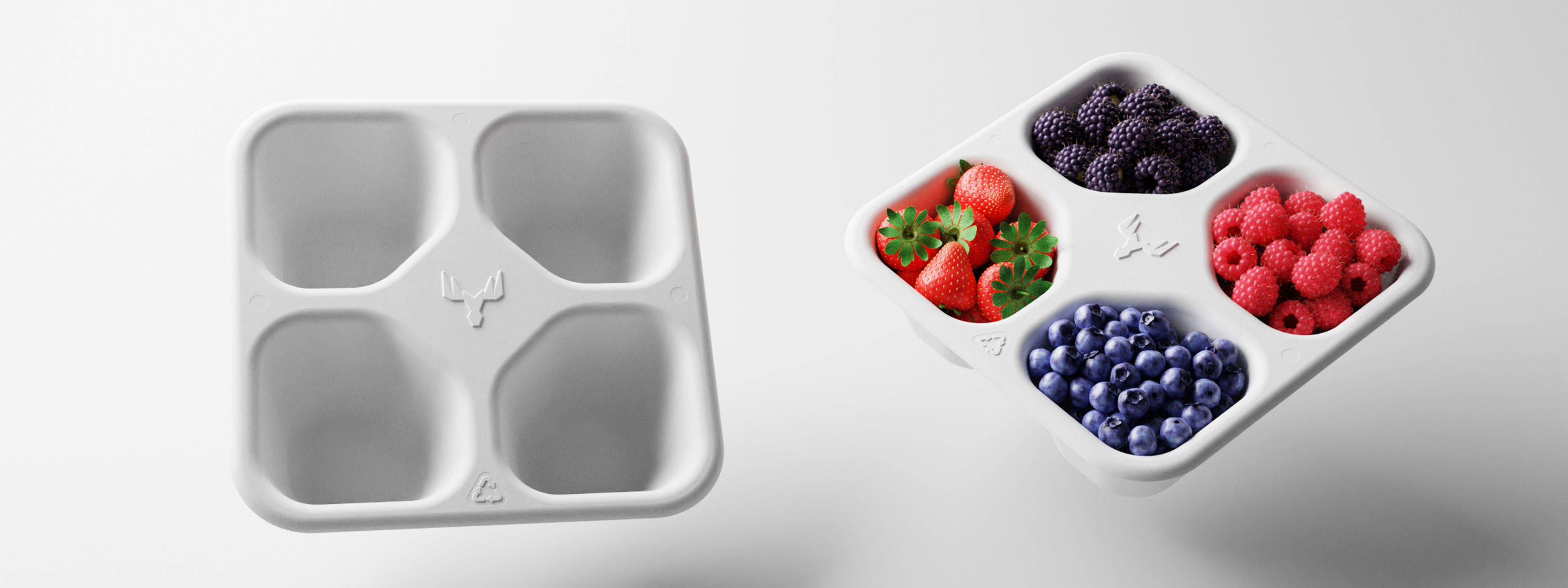 Berry packaging
