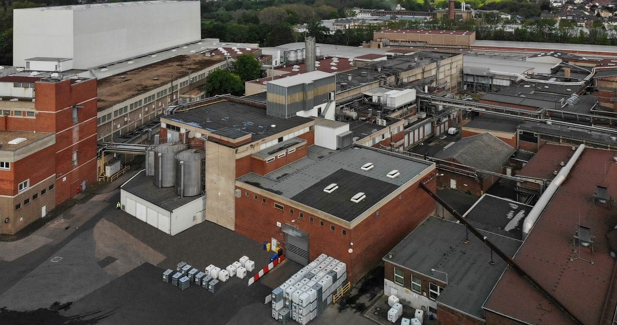 Werk Düren, Metsä Greaseproof Papers GmbH Düren Metsä Tissue