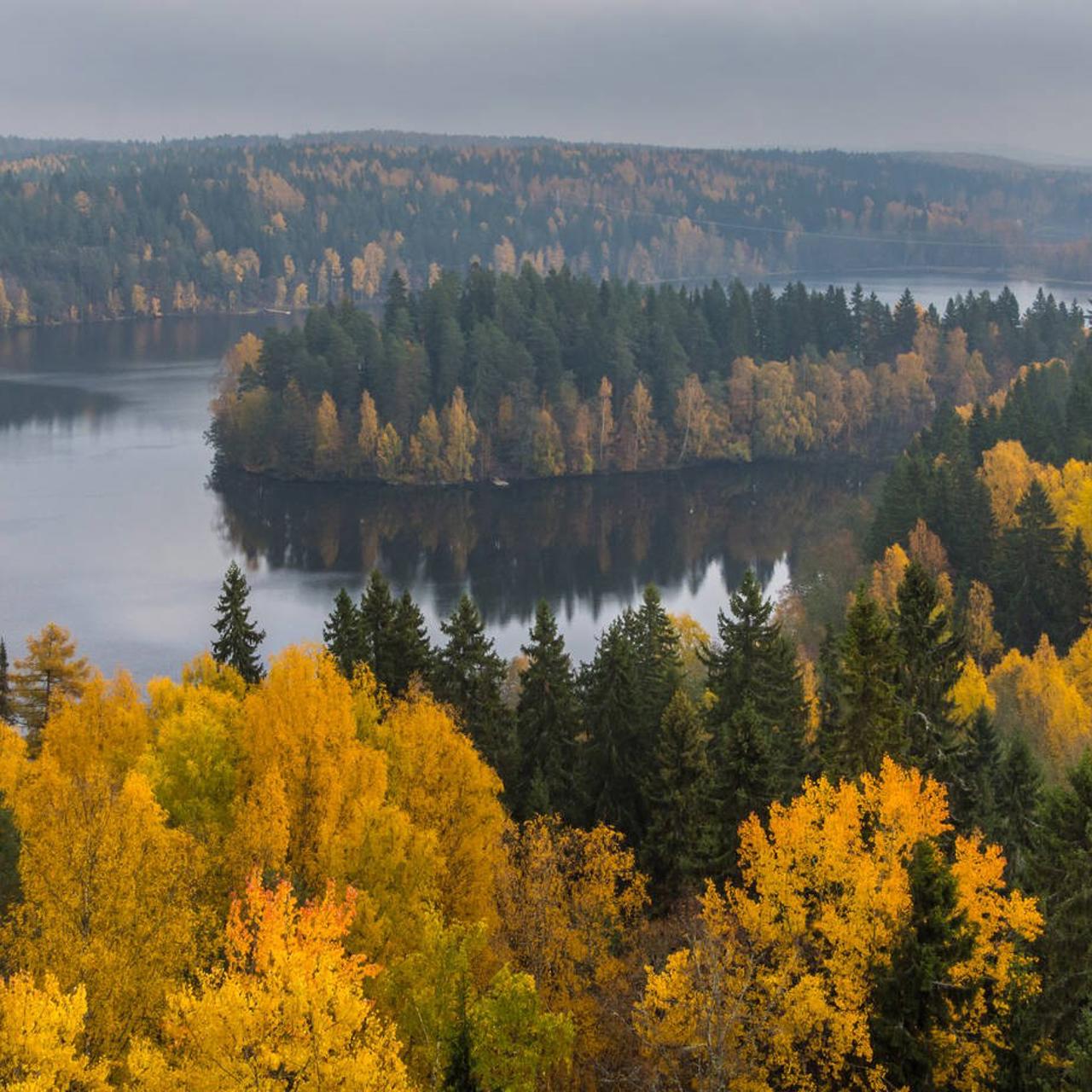 Miten pehmopaperituotteiden ympäristöjalanjälkeä voi parantaa?