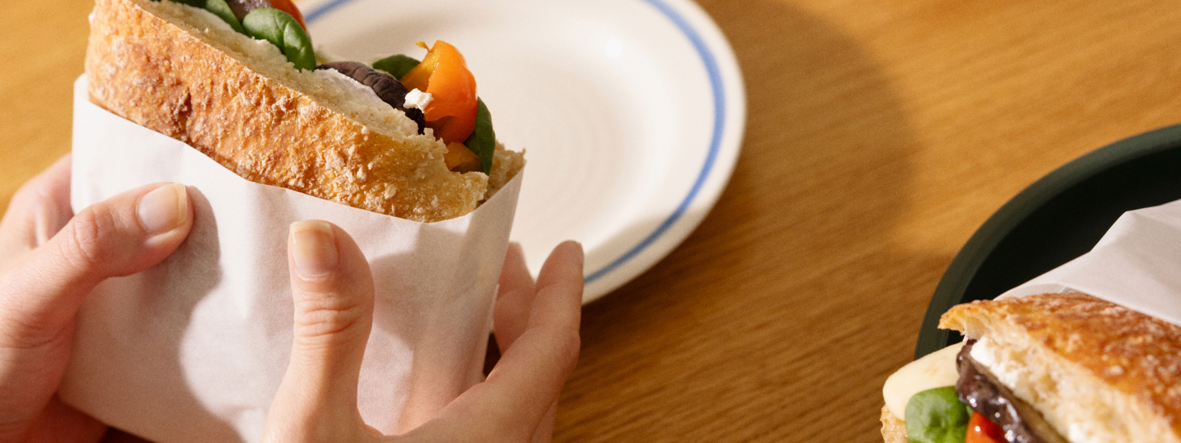 Whitefish in SAGA package