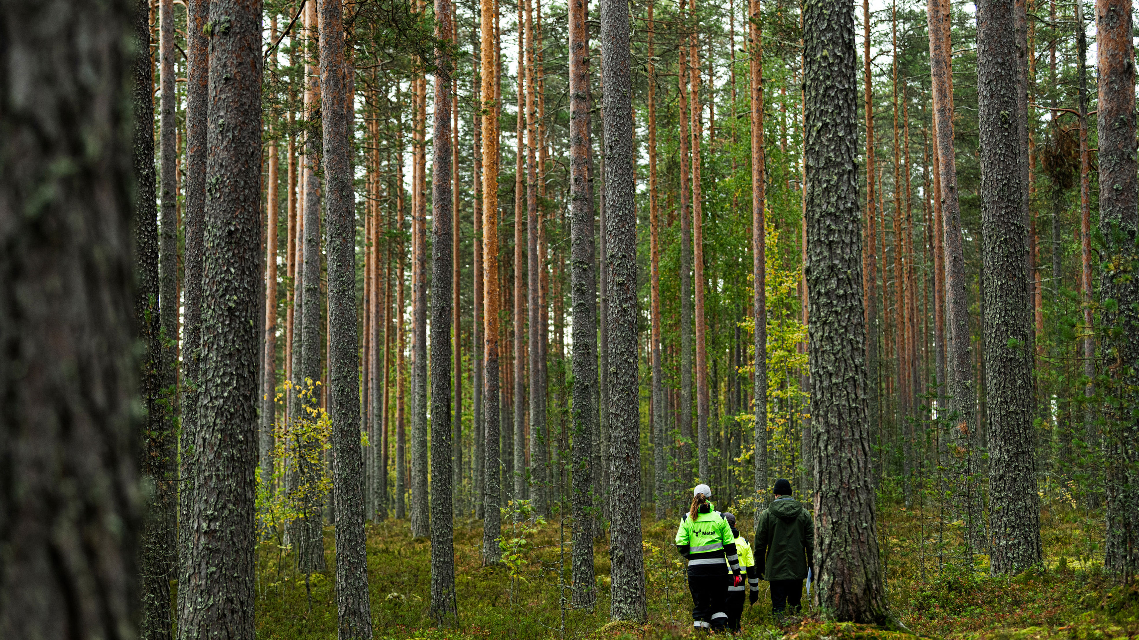 ihmisiä metsässä