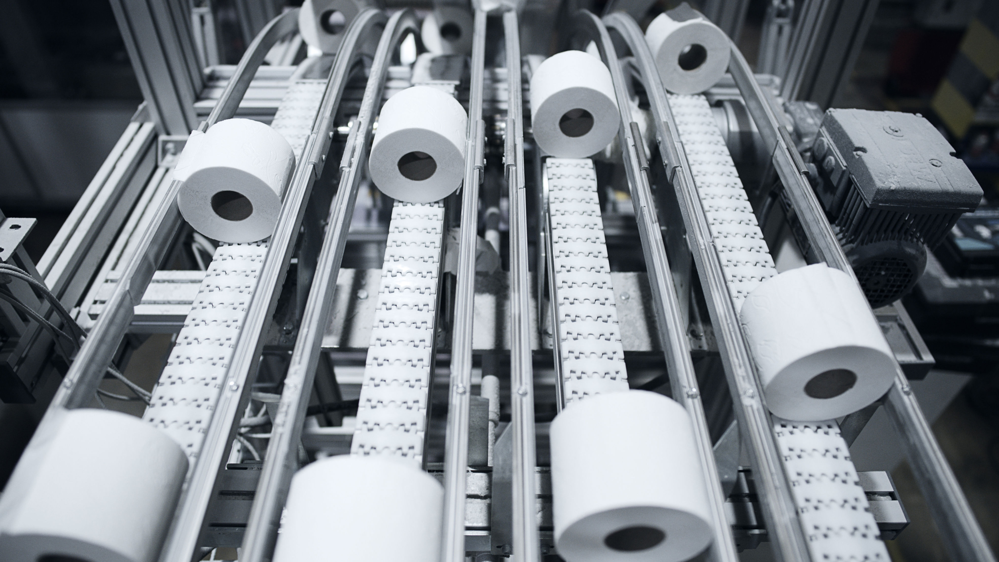 tissue rolls on conveyor belt