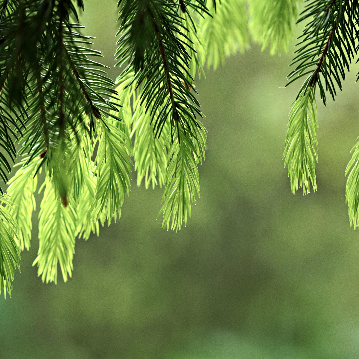 Sustainable production for people and the environment