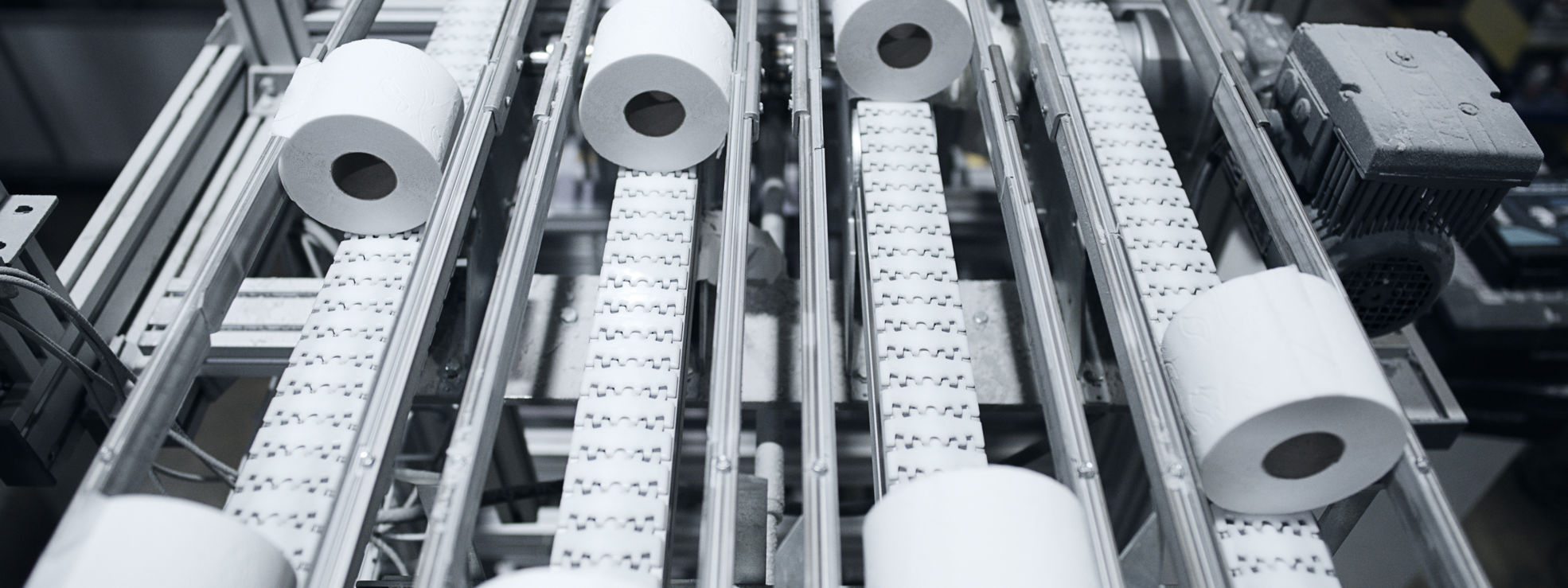 tissue paper rolls on conveyor belt