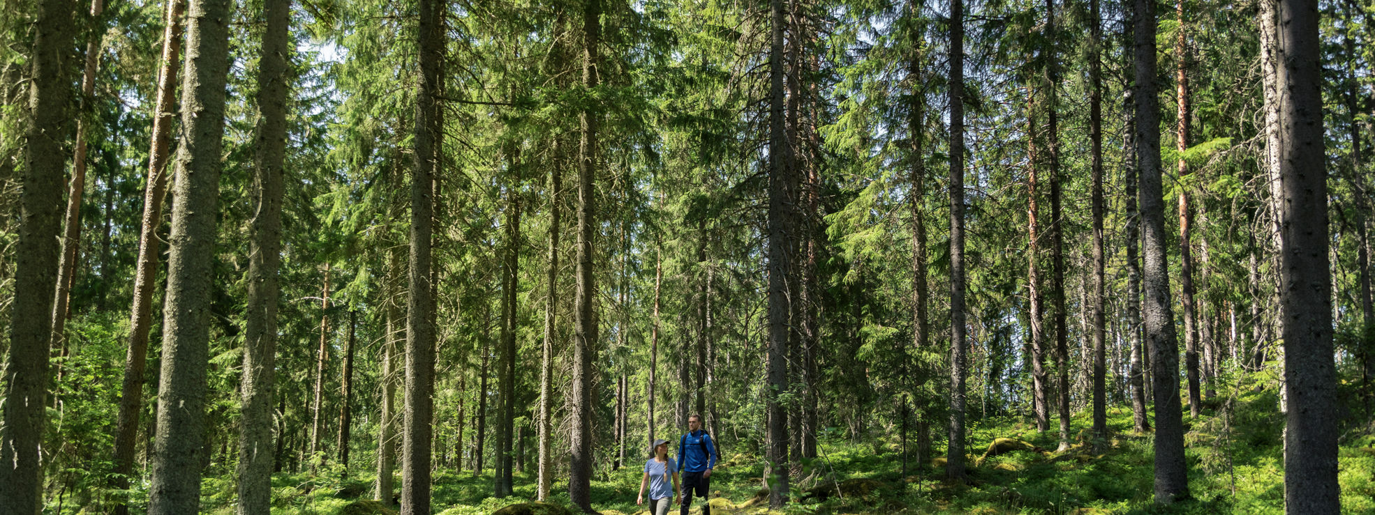 two persons in the forest