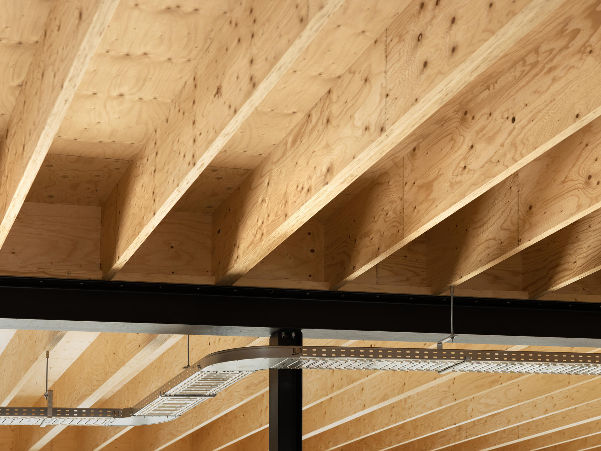 Wood serves as carbon storage