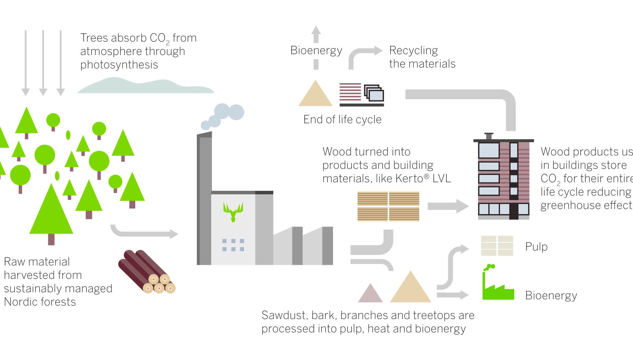 Wooden structures store carbon