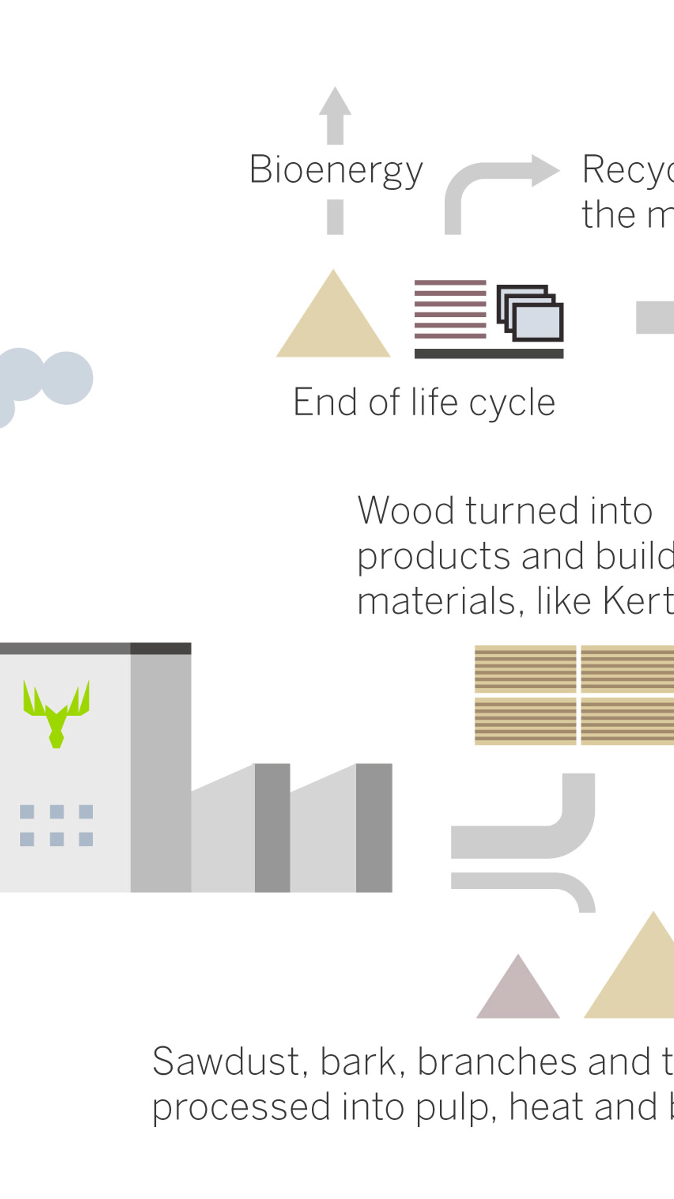Wooden structures store carbon