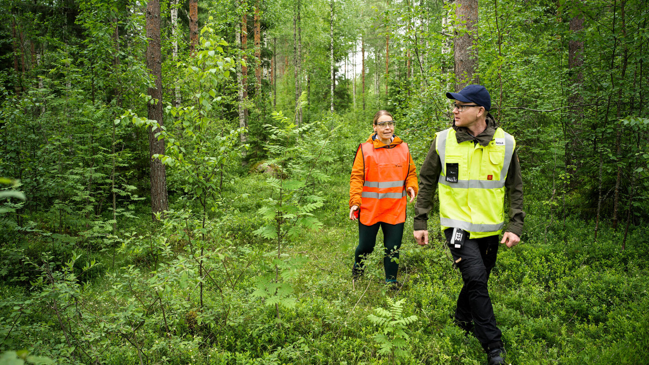 Forest services - Forest owner